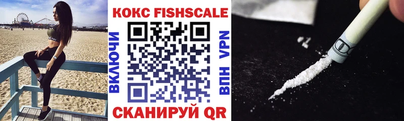 Купить где  Микунь  Кокаин Fish Scale 