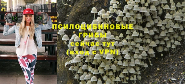 прущая мука Кодинск